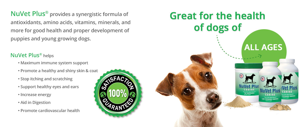 nuvet supplements for dogs of all breeds