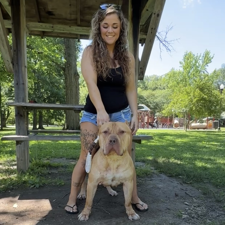 Rednose XL Pitbulls for sale in Indiana near me
